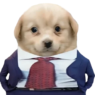 Стикер Doggies • @TgStickery - 0