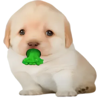 Стикер Doggies • @TgStickery - 5