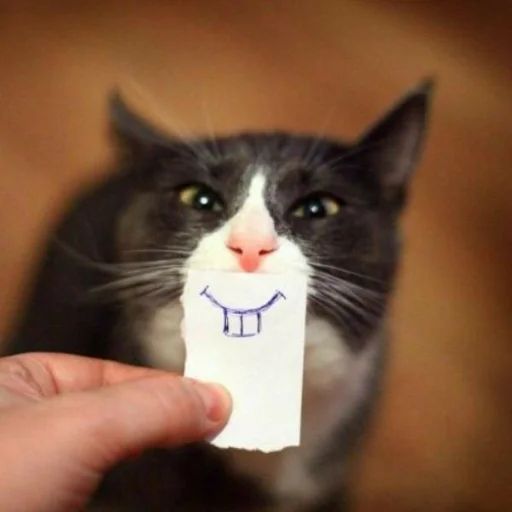 Sticker Dogsandcatcut - 1