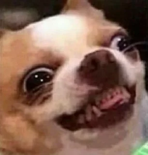 Стикер Dogs cute ( @Aestelar ) - 11