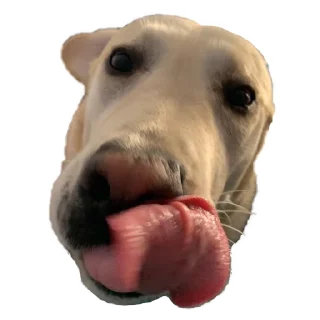 Sticker Dog's mood - 9