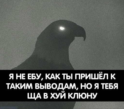 животное СМС птица