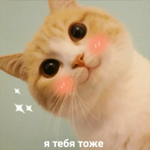 Sticker Dolbolesya - 1