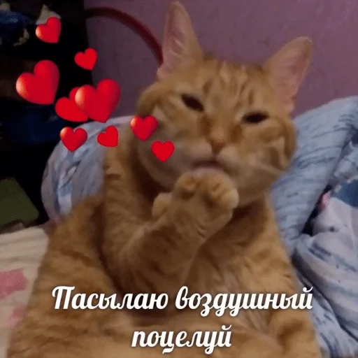 Стикер Dolbolesya - 1