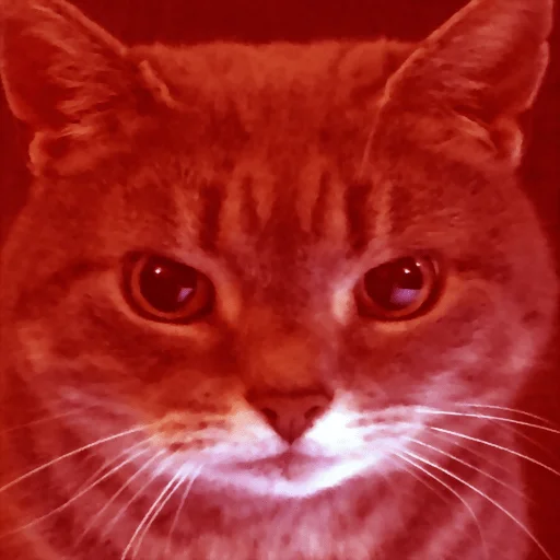 Sticker Dolbolesya - 1