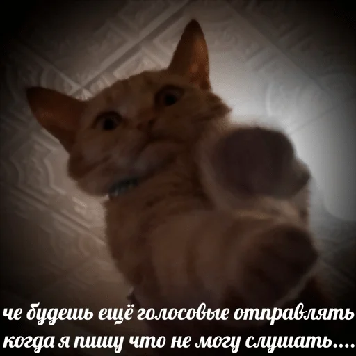 Sticker Dolbolesya - 1