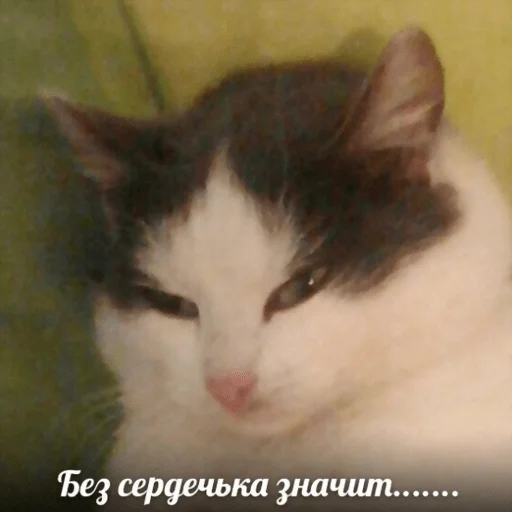 Sticker Dolbolesya - 1