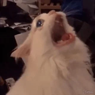 Стикер Леся пидор - 4