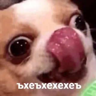 Стикер Леся пидор - 3