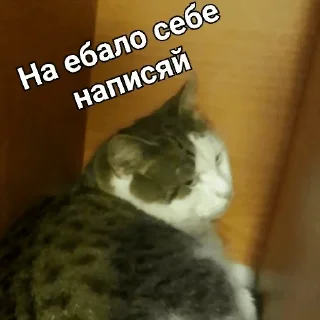 Стикер Леся пидор - 8