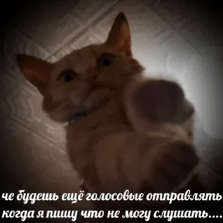 Стикер Леся пидор - 1