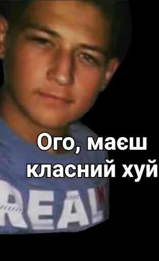 Sticker далінкс - 6