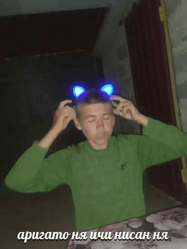 Sticker далінкс - 0