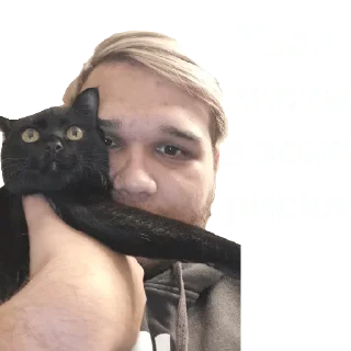 Sticker Green peace - 11