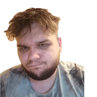 Sticker Green peace - 5