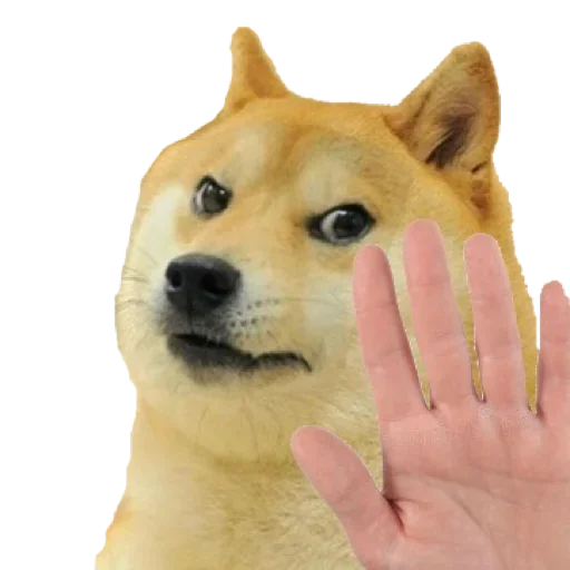 Стикер DomgeCheems - 1