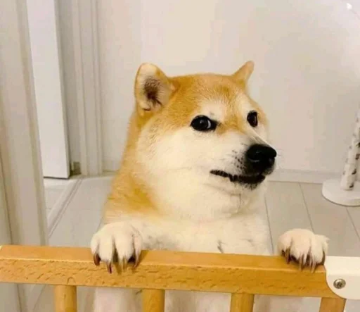 Sticker DomgeCheems - 1