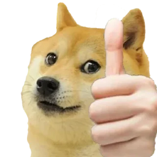 Стикер Doge / @dogii_memes - 9