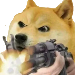 Стикер Doge / @dogii_memes - 11