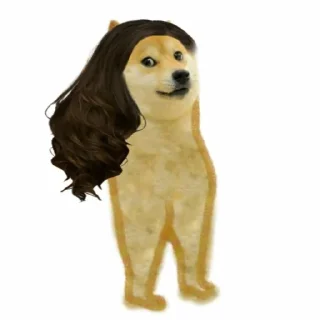 Стикер Doge / @dogii_memes - 6