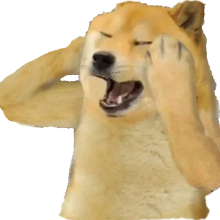 Стикер Doge / @dogii_memes - 8