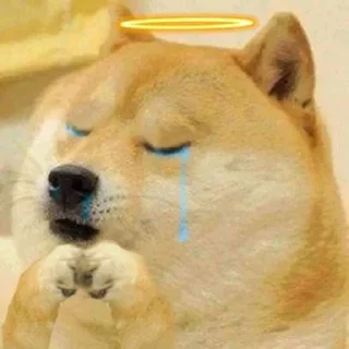 Стикер Doge / @dogii_memes - 2