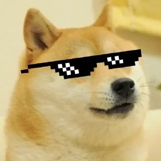 Стикер Doge / @dogii_memes - 3