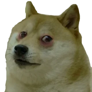 Стикер Doge / @dogii_memes - 4