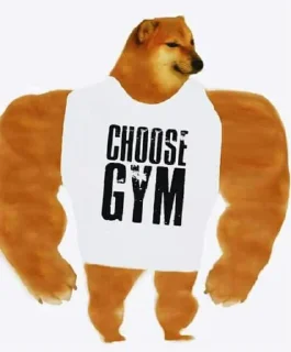 Стикер Doge / @dogii_memes - 1