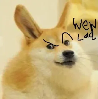 Стикер Doge / @dogii_memes - 7