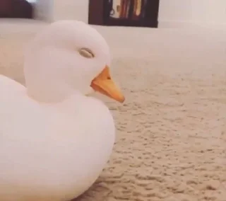 Sticker Donald duck - 0