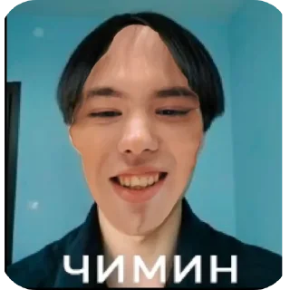 Sticker Донкчимин - 5