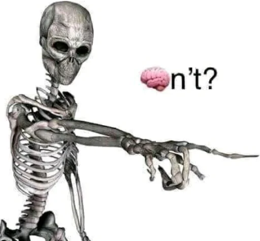 Donkey cum and dick case - text