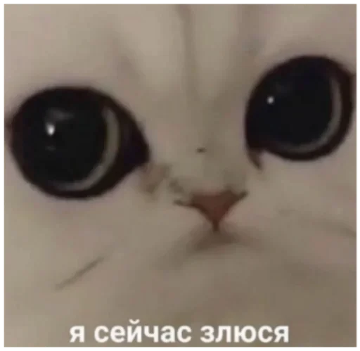 Sticker DonsGrazeMelt :: @fStikBot - 6