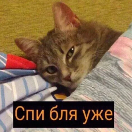 Sticker DonsGrazeMelt :: @fStikBot - 3