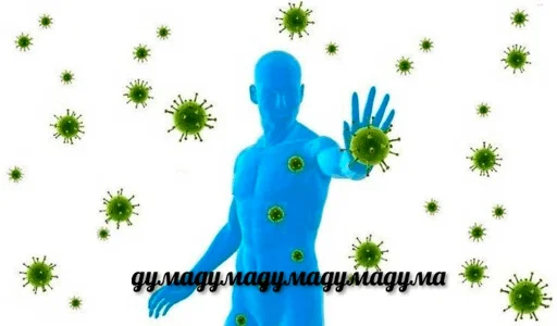 Бананы Ники - 