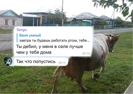 Стикер Бананы Ники - 11