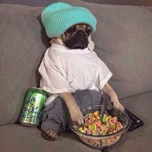 одежда Человек комнатный