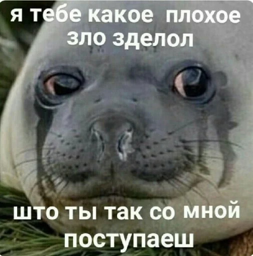 млекопитающее животное СМС