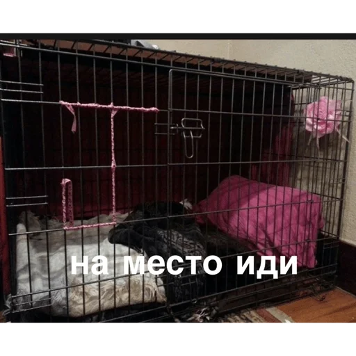 Стикер DophamonoDomen - 1