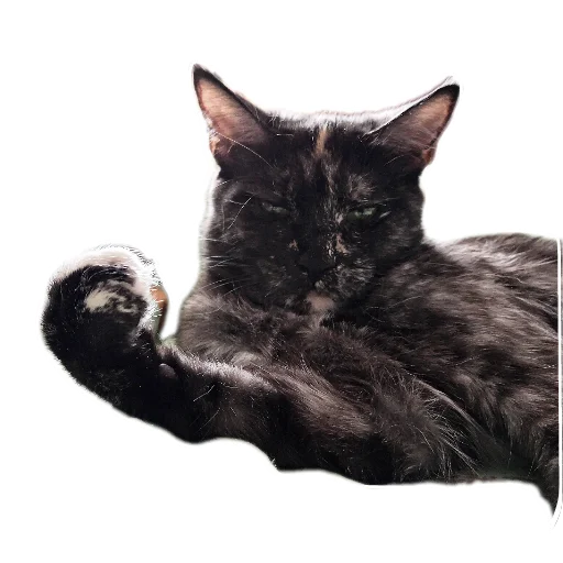 Sticker DoraDura32 - 1