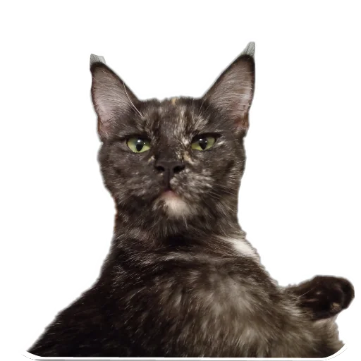 Sticker DoraDura32 - 1