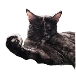 Sticker ДораДура - 6