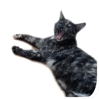 Sticker ДораДура - 8