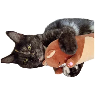 Sticker ДораДура - 1