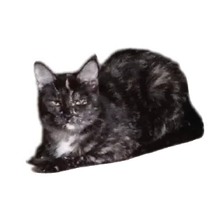 Sticker ДораДура - 7