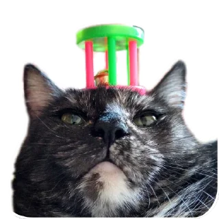 Sticker ДораДура - 3