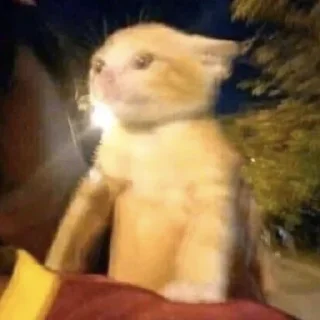 Стикер ЖивАтные - 9