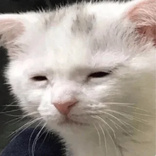 Стикер ЖивАтные - 10