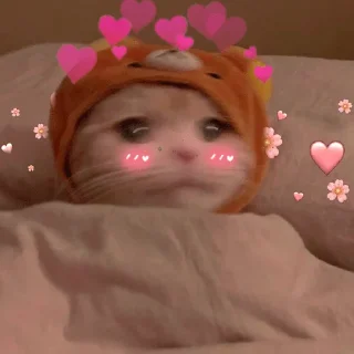 Стикер ЖивАтные - 6